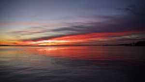 IMG_5507