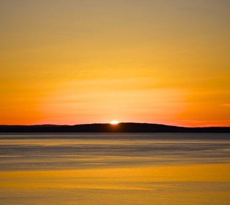 Fotografi #40