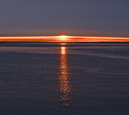 Fotografi #42